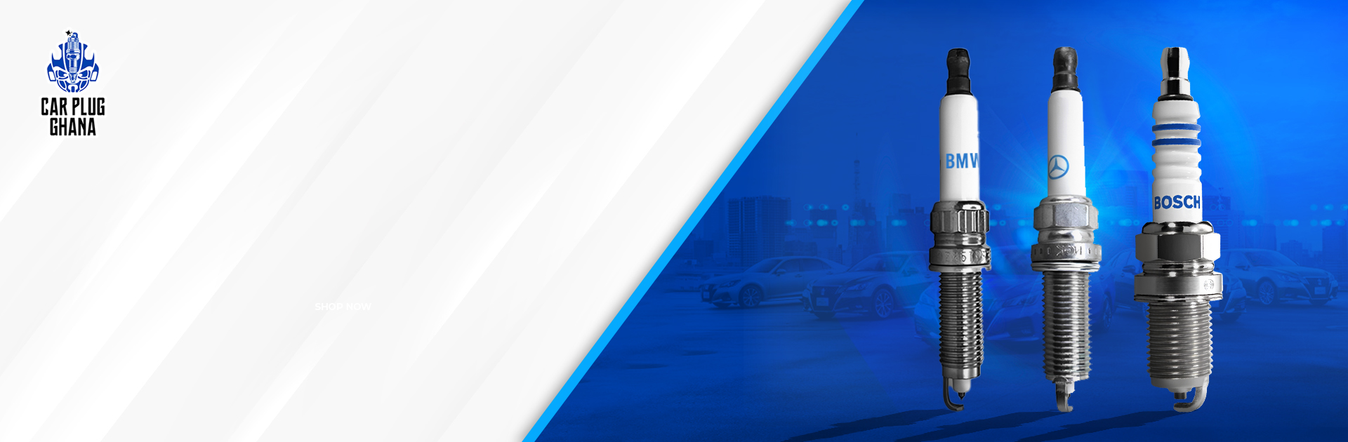 Web Banner_1