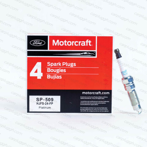 Motorcraft SP-509 (14 Long)