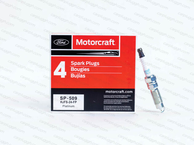 Motorcraft SP-509 (14 Long)